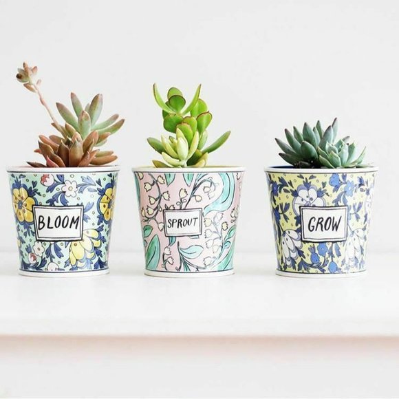 ANTHROPOLOGIE SPROUT Pot Planter by Molly Hatch - Picture 4 of 6